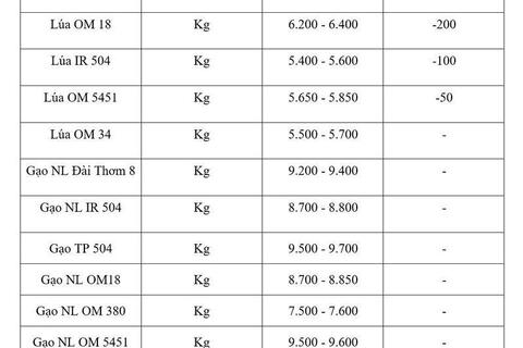 Giá lúa gạo hôm nay ngày 19/6/2026: Lúa tươi đồng loạt giảm