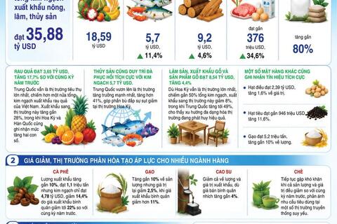 Infographic | Xuất khẩu nông, lâm, thủy sản đạt gần 36 tỷ USD