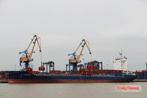 Hoàn thiện thể chế CPTPP: Mở rộng dư địa cho hàng Việt xuất khẩu