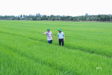 Làm giàu nhờ đổi mới tư duy trên vùng đất phèn