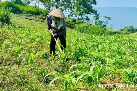 Ban hành Chương trình công tác năm 2026 về các chương trình mục tiêu quốc gia