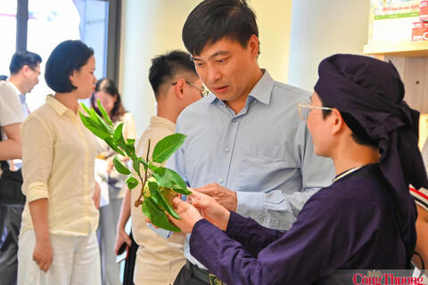 Mở rộng đầu ra cho nông sản Lạng Sơn qua ‘Lạng Sơn Corner’