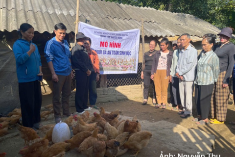 Khai thác hiệu quả lợi thế vật nuôi, góp sức giảm nghèo bền vững ở miền Tây Nghệ An