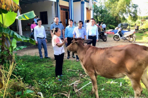 Nghệ An: Đột phá sinh kế nông nghiệp - Tầm nhìn đa chiều, giảm nghèo bền vững