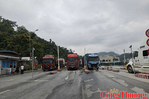 Cập nhật tin xuất nhập khẩu qua các cửa khẩu Lạng Sơn ngày 11/8/2026