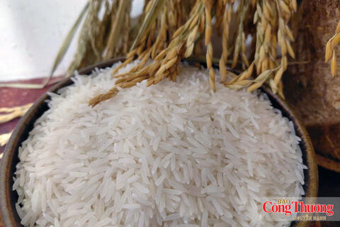 Giữ giá lúa để giữ giá trị hạt gạo Việt