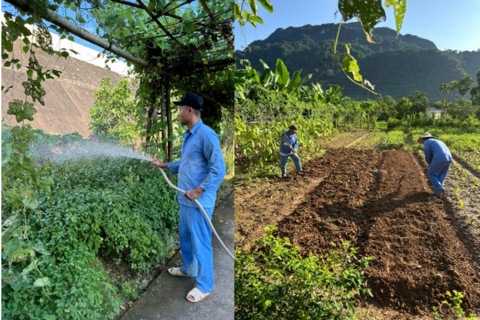Dạy nghề cho người lầm lỗi: Trao sinh kế, mở lối tái hòa nhập