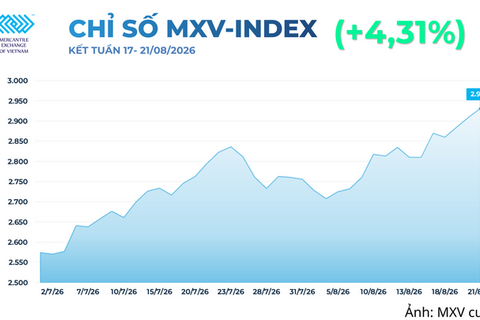 Giá đậu tương tăng mạnh trước sức ép từ nguồn cung và nhu cầu