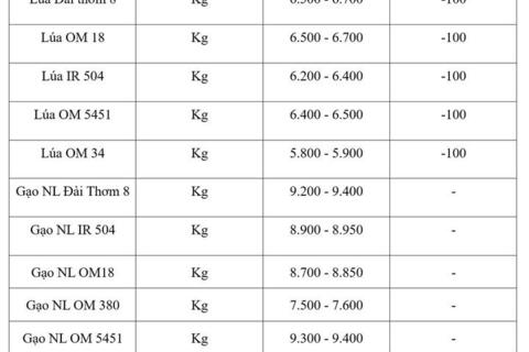 Giá lúa gạo hôm nay ngày 3/9/2026: Lúa tươi đồng loạt giảm