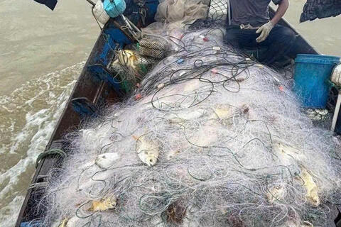 Niềm vui trúng cá vàng dương đầu mùa của ngư dân vùng bãi ngang Hà Tĩnh