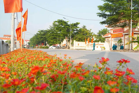 Xây dựng Nông thôn mới Hà Nội 2026-2030: Phân nhóm xã, tạo tiền đề xây dựng mô hình nông thôn mới hiện đại