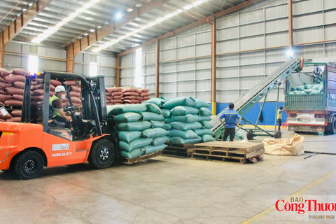 Gia Lai nâng giá trị ngành hàng xuất khẩu chủ lực