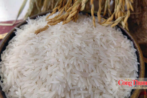 Gạo Việt Nam: Không thể chỉ cạnh tranh bằng giá