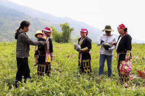 Bát Xát (Lào Cai) đa dạng sinh kế, nâng cao thu nhập cho người dân