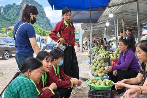 Lạng Sơn mở rộng đầu ra cho nông sản vùng đồng bào dân tộc thiểu số