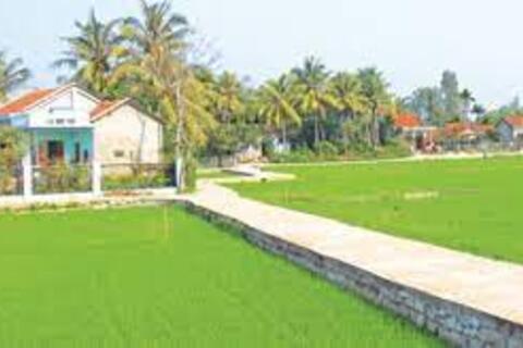 Tây Hòa: Xã Hòa Bình 1 đạt chuẩn nông thôn mới nâng cao