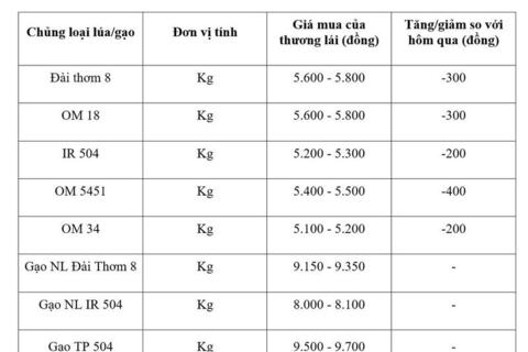 Giá lúa gạo hôm nay ngày 18/3/2026: Lúa tươi đồng loạt giảm