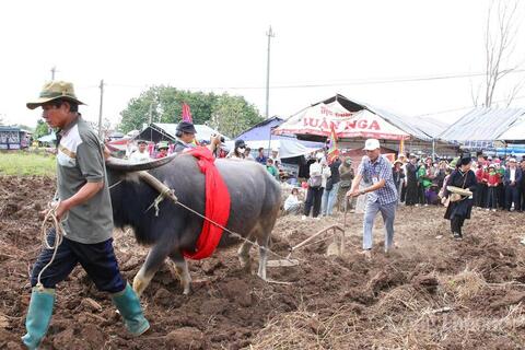 Đắk Lắk: Khát vọng ấm no trên vùng đất mới từ lễ hội Lồng Tồng