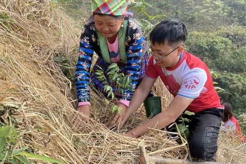 Sùng A Cải: Từ trồng rừng đến tạo sinh kế cho người dân vùng cao