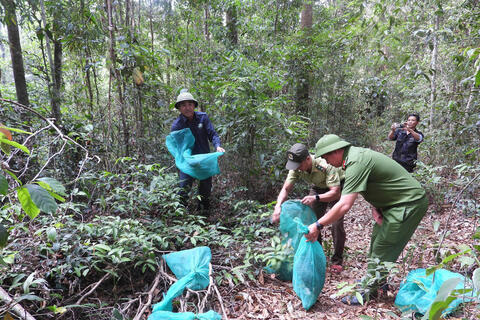 Gia Lai: Thả tê tê Java cùng nhiều động vật nguy cấp về rừng tự nhiên