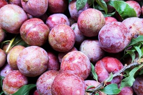 Giá nông sản hôm nay 13/4: Hàng loạt các mặt hàng tăng giá