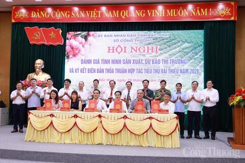 Định vị vải thiều Bắc Ninh thành sản phẩm phân khúc cao cấp