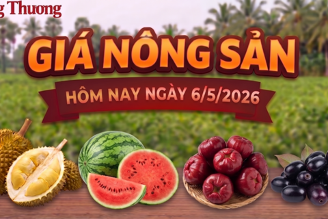 Giá nông sản hôm nay ngày 6/5: Nhiều mặt hàng có mức giá thấp