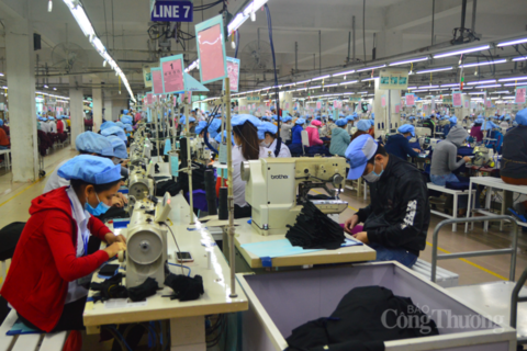 Xuất nhập khẩu Đà Nẵng tăng trưởng, xuất siêu 15 triệu USD