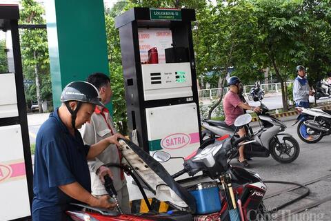 TP. Hồ Chí Minh đồng loạt chuyển sang kinh doanh xăng sinh học E10