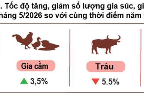 Sản xuất nông nghiệp phục hồi, nuôi trồng thủy sản tiếp tục khởi sắc