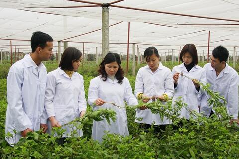 Phát triển công nghiệp dược liệu, biến lợi thế tự nhiên thành sức mạnh kinh tế
