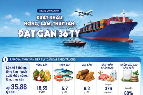 Infographic | Xuất khẩu nông, lâm, thủy sản đạt gần 36 tỷ USD