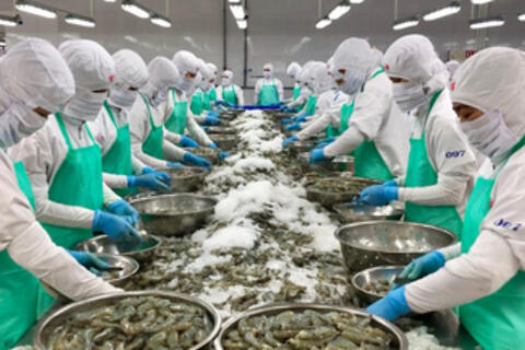 Xuất khẩu thủy sản Việt Nam trước cơ hội mới từ FTA Việt Nam - EFTA
