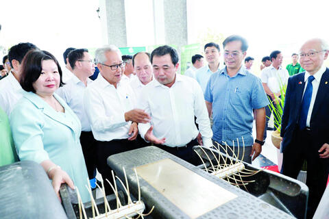 Mô hình ý nghĩa với ngành hàng lúa gạo