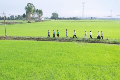 Khi đất được ‘hồi sinh’, cây lúa tự khắc khỏe mạnh