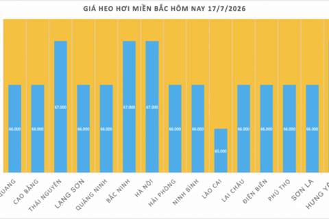Giá heo hơi hôm nay 17/7/2026: Thị trường lặng sóng
