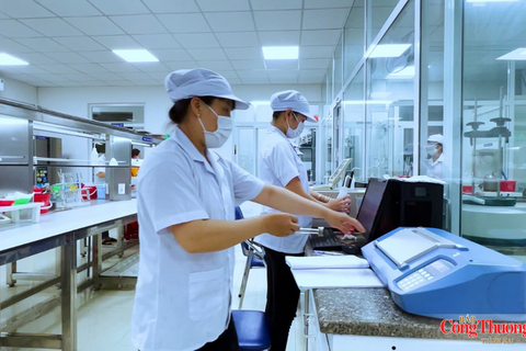 Gia Lai: Chế biến, chế tạo tiếp tục dẫn dắt tăng trưởng công nghiệp