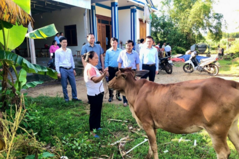 Nghệ An: Đột phá sinh kế nông nghiệp - Tầm nhìn đa chiều, giảm nghèo bền vững