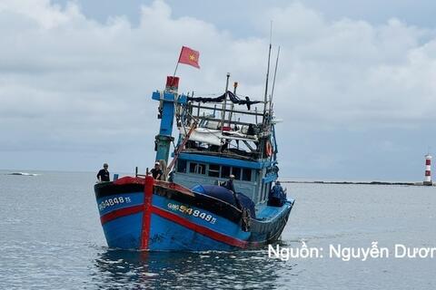 Gỡ 'thẻ vàng' IUU: Kiểm soát chặt thủy sản xuất khẩu sang EU