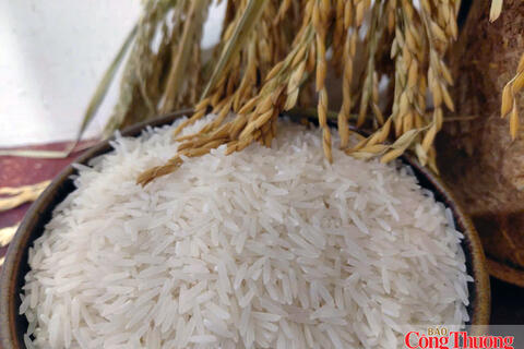 Giữ giá lúa để giữ giá trị hạt gạo Việt