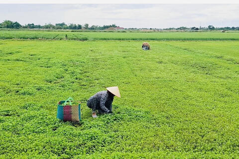 Đổi thay trên quê hương Đại tướng Nguyễn Chí Thanh