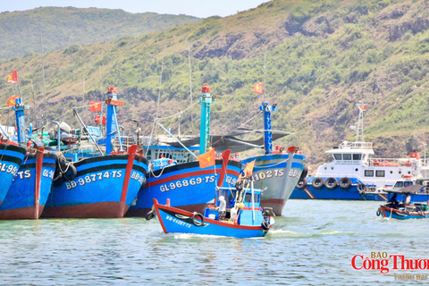 Gia Lai: Quản lý chặt đội tàu, quyết tâm gỡ thẻ vàng IUU