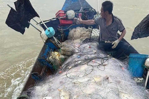 Niềm vui trúng cá vàng dương đầu mùa của ngư dân vùng bãi ngang Hà Tĩnh