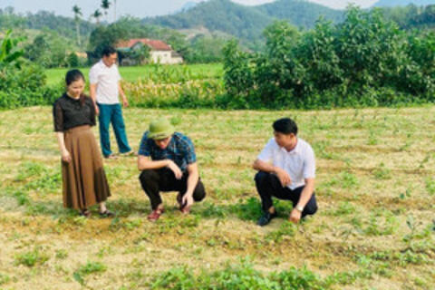 Tạo nền tảng giảm nghèo bền vững ở xã vùng biên ở Hà Tĩnh