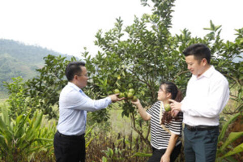Thanh Hóa đổi thay diện mạo vùng khó khăn nhờ giảm nghèo bền vững