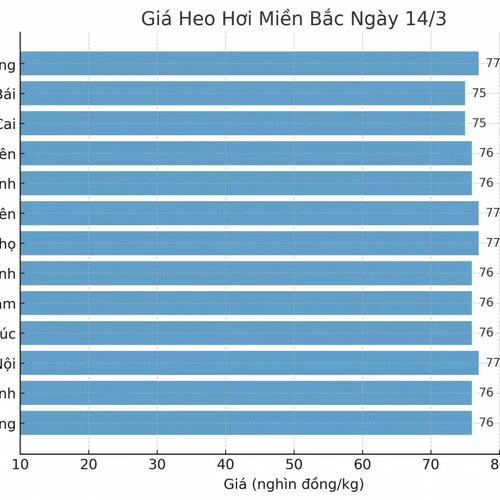 Giá heo hơi hôm nay 14/3/2025: Miền Bắc biến động trái chiều