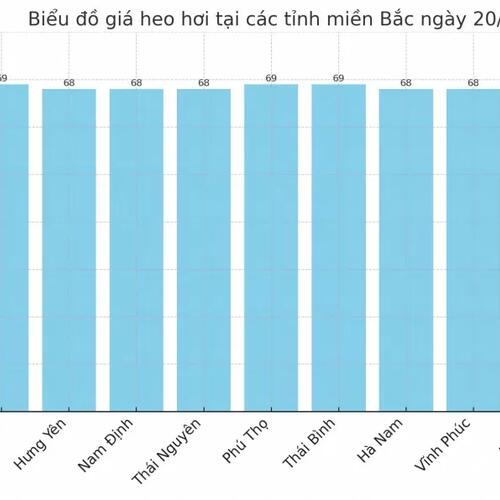 Giá heo hơi hôm nay 21/4/2025: Miền Trung giảm mạnh