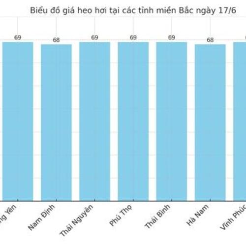 Giá heo hơi hôm nay 17/6/2025: Miền Nam quay đầu giảm mạnh