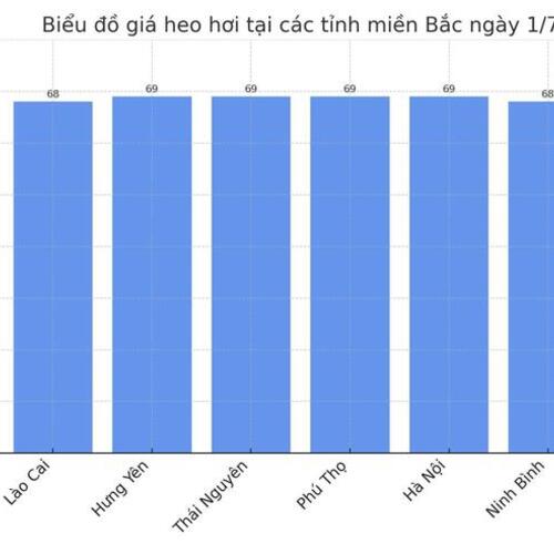 Giá heo hơi hôm nay 1/7/2025: Giảm nhẹ tại miền Trung - Tây Nguyên