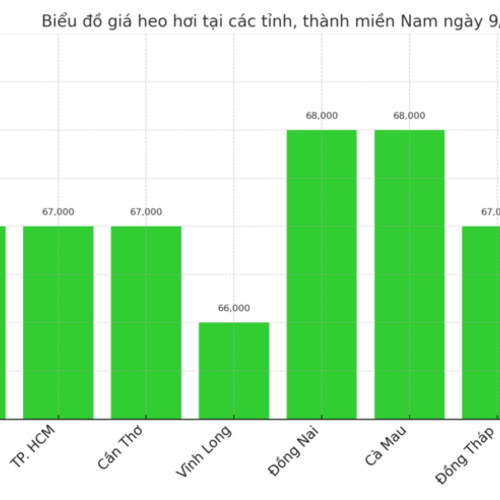 Giá heo hơi hôm nay ngày 9/7/2025: Đồng loạt giảm ở cả 3 miền